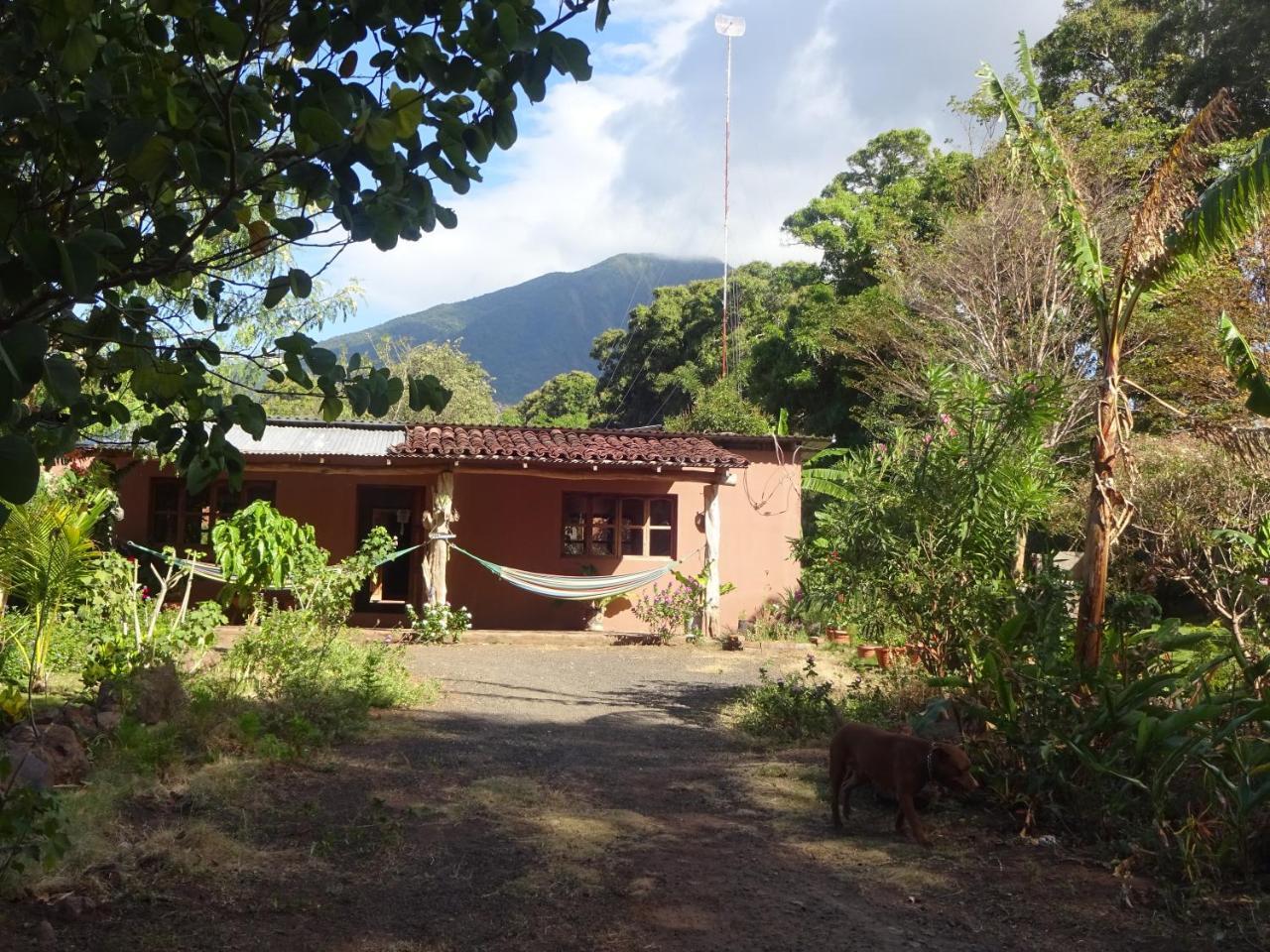 Casa Papaki Apartment Merida Bagian luar foto