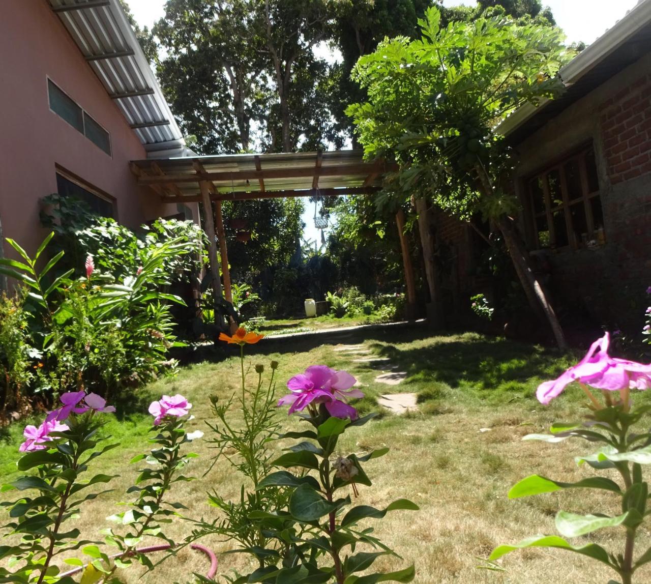 Casa Papaki Apartment Merida Bagian luar foto