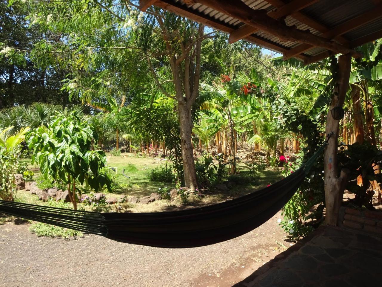 Casa Papaki Apartment Merida Bagian luar foto